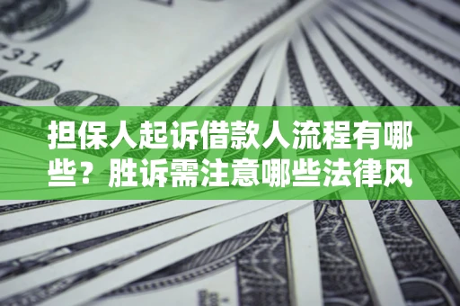 北京担保人起诉借款人流程有哪些？胜诉需注意哪些法律风险？